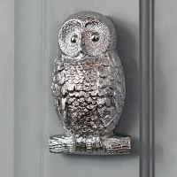 Bright Chrome Owl Door Knocker in Situ on a Grey Door