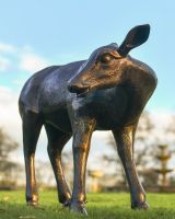 Cast Aluminium Brushed Bronze "Marla" Doe Sculpture