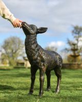 Scale Shot of Doe 
