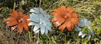 “Gerbera Magic" garden flower spike