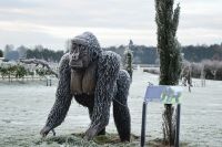 “Sir Greythwaite” Eastern Lowland Gorilla Garden Sculpture