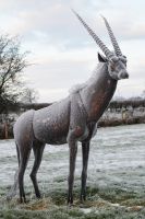 “Choroa Wilds” Oryx Sculpture