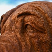 Close-Up of Face Detailing