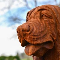Side View of Rustic Sitting Bloodhound Garden Sculpture