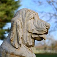Side View of Face Detailing