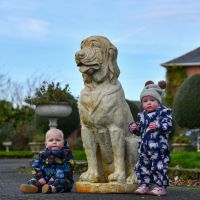 Cream Sitting Bloodhound Garden Sculpture to Scale