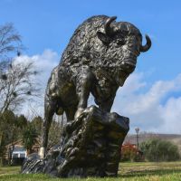 Tatanka Bison Garden Sculpture 