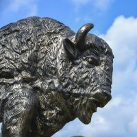 Side profile on Tatanka Bison Garden Sculpture 