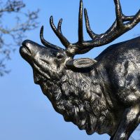 Side profile of "Wapiti" Elk on Rock Sculpture 