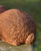 Close up Of Rabbit Garden Sculpture 