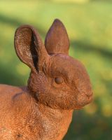 Close up Of "Nibbles" Cast Iron Rabbit Garden Sculpture 