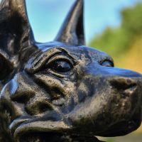 Close-Up on Face Detailing