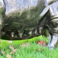 Stomach Detailing of Large Pig Garden Sculpture