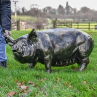 Large Pig Garden Sculpture to Scale