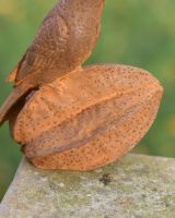 Close Up Of Rustic "Bird On Seed" Garden Sculpture 