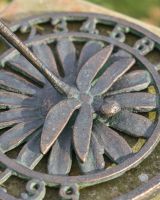 Close up of Aged Iron Verdigris Dragonfly 