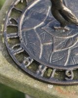 Close Up of Bird On Sundial 