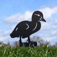 Black Walking Duckling Silhouette in Situ