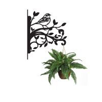 Dunnock on Branches Steel Hanging Basket Bracket with Planter