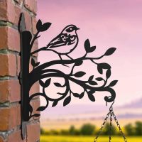 Dunnock on Branches Steel Hanging Basket Bracket in Situ