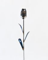 Everlasting Tulip Decoration