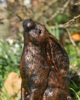 Close Up Of The Cast Aluminium Stargazing Rabbit Sculpture 