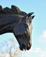 Close Up Of The Bucking Horse Sculptures Face 