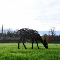 Black Fallow Fawn Garden Sculpture in Situ 