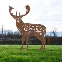 Rustic Fallow Stag Silhouette 