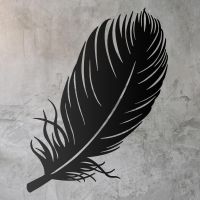 Feather Wall Art in Use a Rustic Wall