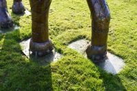 "Trunkwood Park" Asian Elephant Garden Sculpture