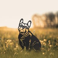 French Bulldog Silhouette in Situ in a Field