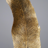 Close-up of the Gold Feather