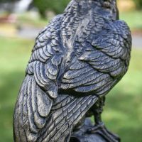 Close-up of Wings on Golden Eagle Garden Ornament
