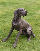 Great Dane Garden Statue
