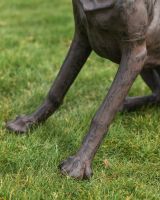 Close up of paws on dog garden statue