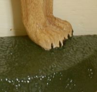 Door Stop Dog Hand Painted