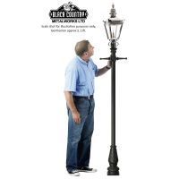 Harrogate Bright Chrome Lamp Post 2.25m
