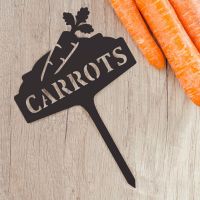 "Carrots" Vegetable Label Created From Steel
