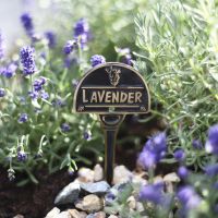 Lavender Herb Labels in solid brass