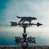  Irish setter weathervane on a foggy day