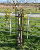 Wrought Iron Traditional "Fernhill" Black Tree Guard