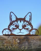 Peeking Kitten Fence Topper