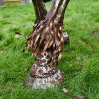Horse Sculpture Hoof