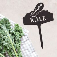 "Kale" Vegetable Label Created From Steel