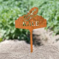 "Kale" Vegetable Label in Situ in the Garden