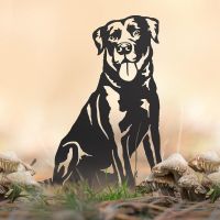 Labrador Silhouette in Situ