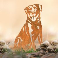Labrador Silhouette in Situ