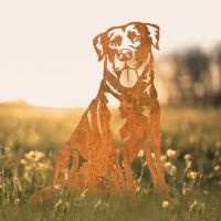 Labrador Silhouette in Situ in a Field