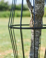 Close-Up of Large Black "Augustus" Steel Tree Guard - 105cm